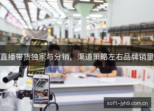 直播带货独家与分销,渠道策略左右品牌销量 直播带货独家与分销,渠道策略左右品牌销量